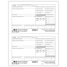 Picture of W-2 2-Up Employer Copies D and/or State, City, Local