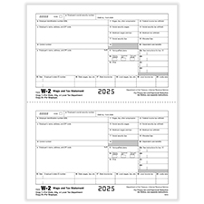 Picture of W-2 2-Up Employee IRS Federal Copy B