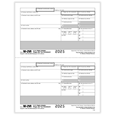 Picture of W-2VI 2-Up Recipient Copy B Pre-Printed