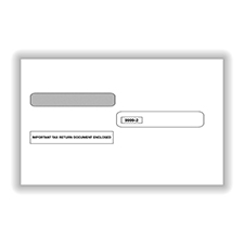 Split Double Window Envelope W-2 Forms Tax