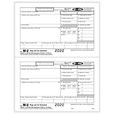 Picture of W-2 2-Up Employee IRS Federal Copy B